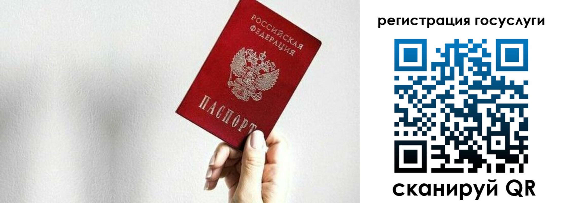 прописка гарантия в Донецке